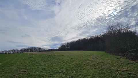 Grond Te koop 1653 Dworp Deuveressenweg  