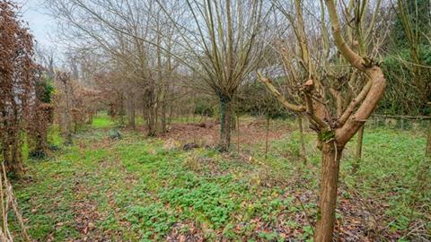 Grond Te koop 1652 Beersel Alsemberg Sanatoriumstraat 252 