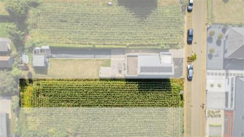 Terrain Vente 1501 Halle Buizingen Distelweg  